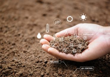 Soil Health & Organic Matter Management