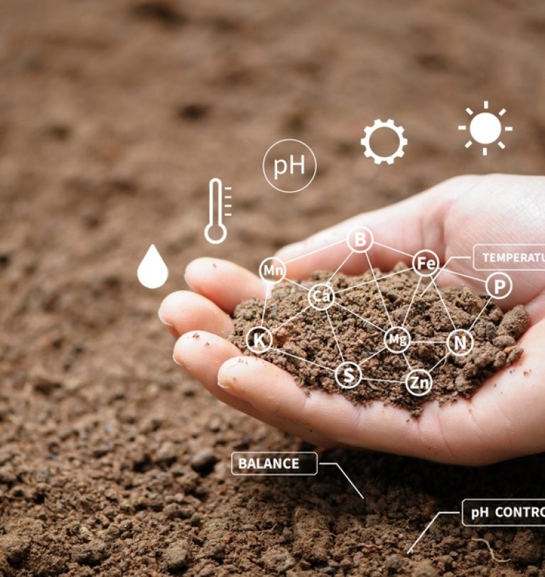 Soil Health & Organic Matter Management