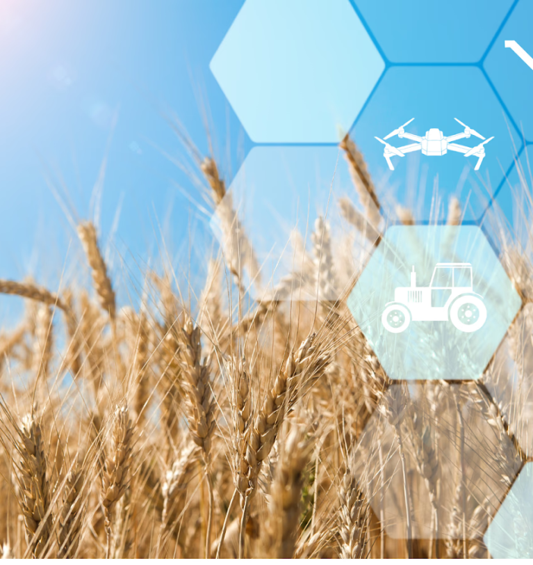 Precision Wheat Cultivation Techniques